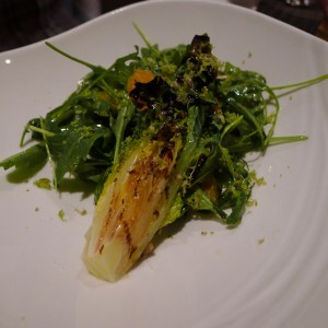 Grilled Werp Farm Gem Salad